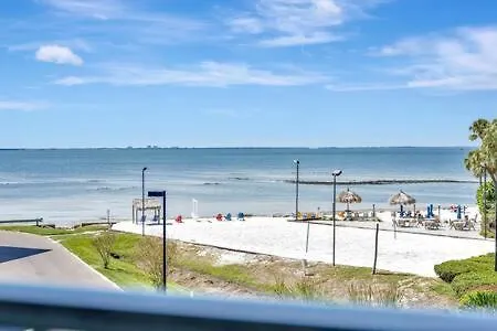 Vila The Hemingway Subtropical Luxury On The Tampa Bay