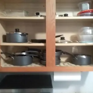 Halcyon Hangout-mins To Downtown-ping Pong-pets , Savannah United States